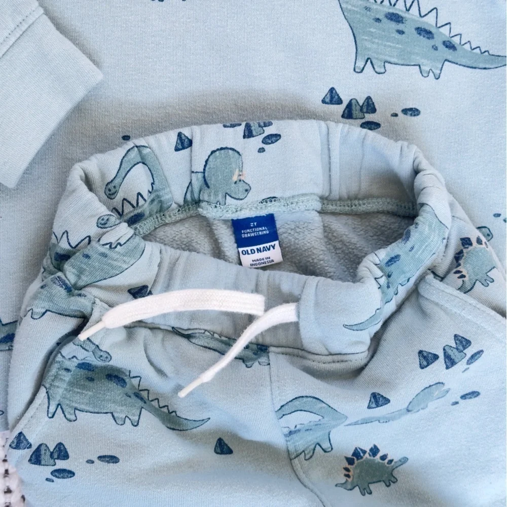 Old Navy Blue Dinosaur Jogger Unisex Toddler Set 2T